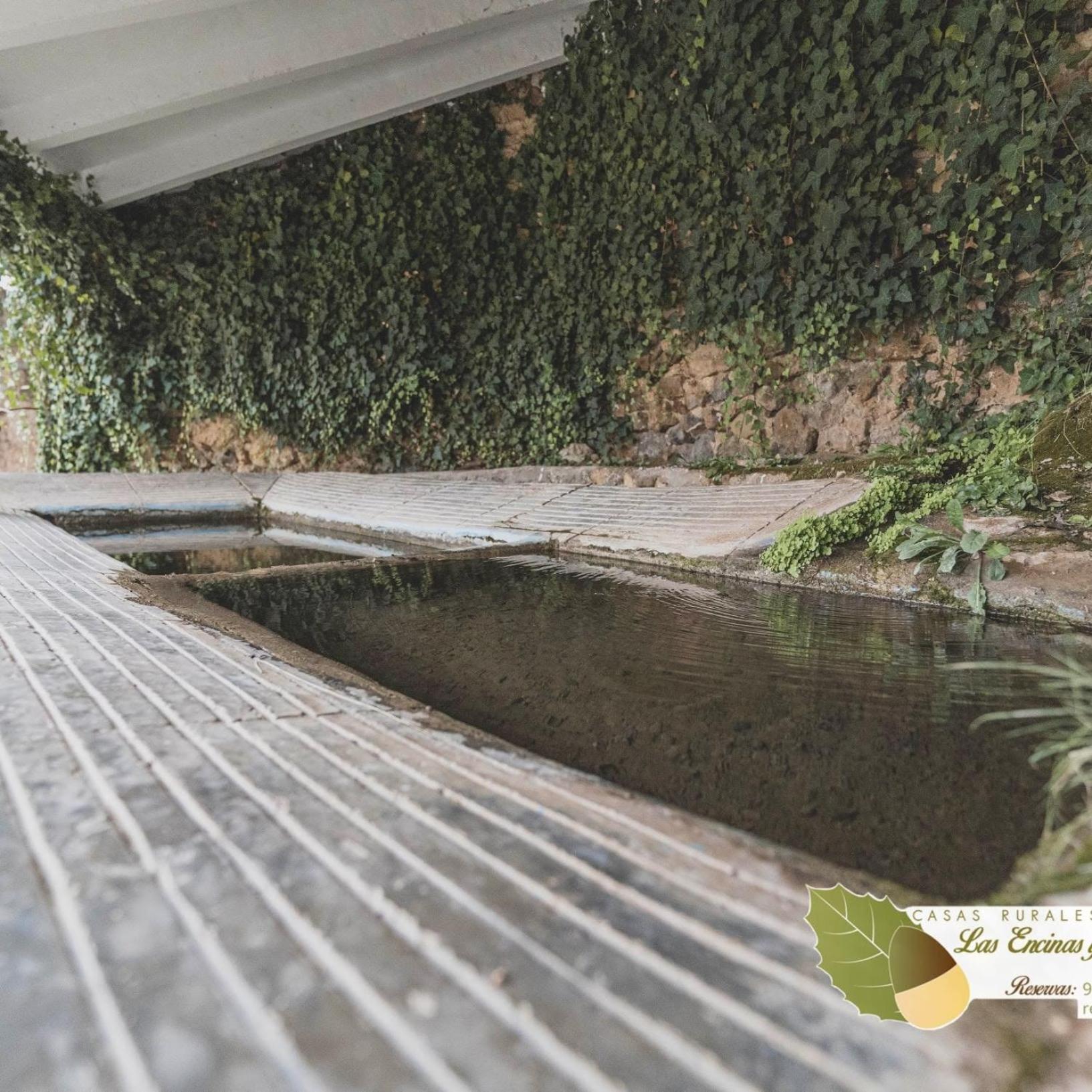 Las Encinas Yeste Ngoại thất bức ảnh